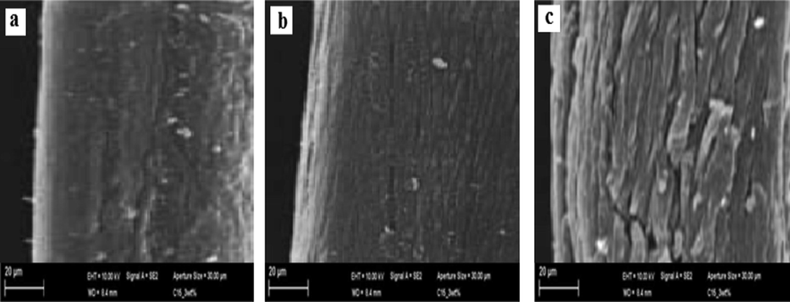 SEM of RF (a) MIF (b) and ACF (c).