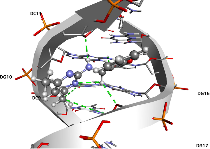 Binding mode and compound – DNA interactions for compound 1.