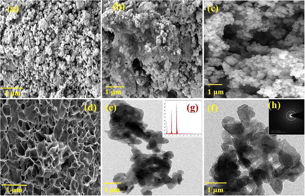 SEM images of (a) HAP, (b) BA (c) HAP/BA and (d) HAP/BA/CMC, TEM images of (e) HAP/BA and (g) HAP/BA/CMC, SAED pattern of (f) HAP/BA and (h) HAP/BA/CMC composite.