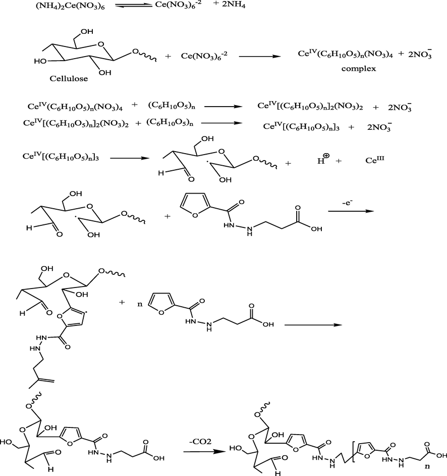 Mechanism of cotton fabrics treatment with PFu.