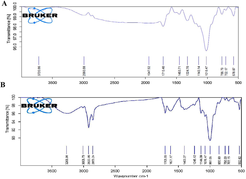 FTIR spectroscopic analysis of aqueous extract of R. rebescens leaves and synthesized RR-CuONPs. FT-IR spectral analysis showed the existence of different active biomolecules like alkynes, alkenes, aromatic rings, phenolic OH that bound on the leaf extract of R. rebescens (A) and the surface of synthesized RR-CuONPs (B).