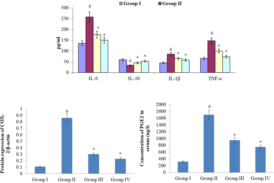 Effect of synthesized RR-CuONPs on inflammatory markers level in the arthritic rats. Fig. 8 showed the CFA challenged arthritis in rats showed the drastic enhancement in the levels of pro-inflammatory modulators like IL-6, IL-1β, TNF-α, Cox-2, PGE-2 and diminished the anti-inflammatory marker i.e. IL-10. The RR-CuONPs treated arthritic animals exhibited anoticeable reduction in the levels of the pro-inflammatory marker. Values are depicted as mean ± SD of triplicate values (n = 6). Note: ‘#’ denotes the p < 0.05 when compared to the control and ‘*’ denotes the p < 0.05 when compared to the arthritic group.