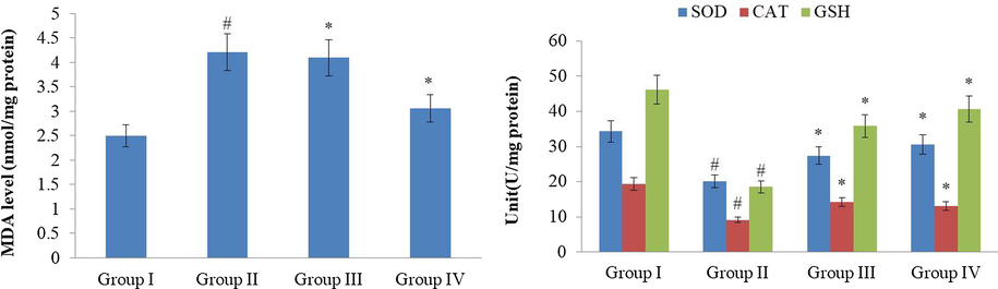 Effect of synthesized RR-CuONPs on antioxidant enzymes status in the arthritic rats. The lipid peroxidation level was increased and the antioxidant enzymes like SOD, CAT, and GSH were drastically reduced in the serum of CFA-induced arthritic rats. Interestingly, the RR-CuONPs treatment to the arthritic animals showed a noticeable improvement in the levels of the antioxidant enzymes. Values are depicted as mean ± SD of triplicate values (n = 6). Note: ‘#’ denotes the p < 0.05 when compared to the control and ‘*’ denotes the p < 0.05 when compared to the arthritic group.