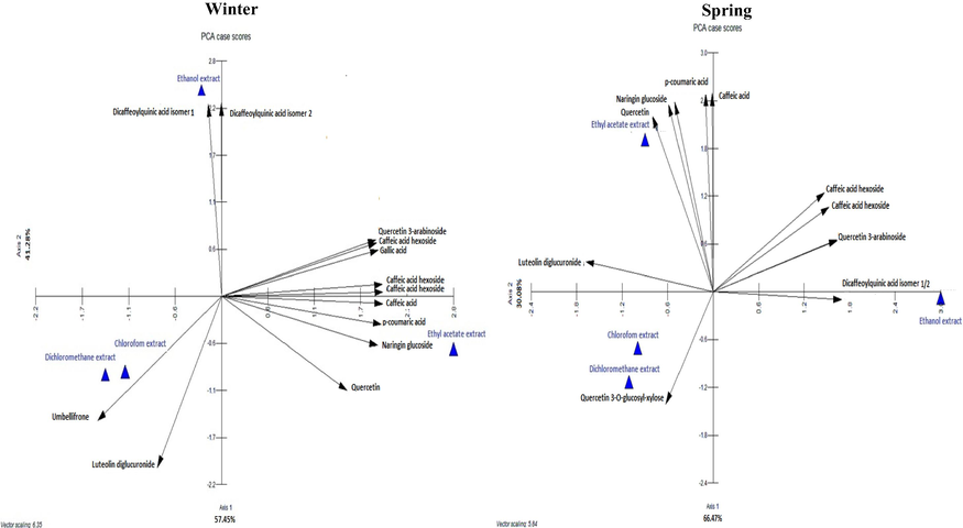 Principal Components Analysis (PCA) showing the distribution of polyphenolic composition of different extracts from C.althaeoides L. leaves from winter and spring collects.