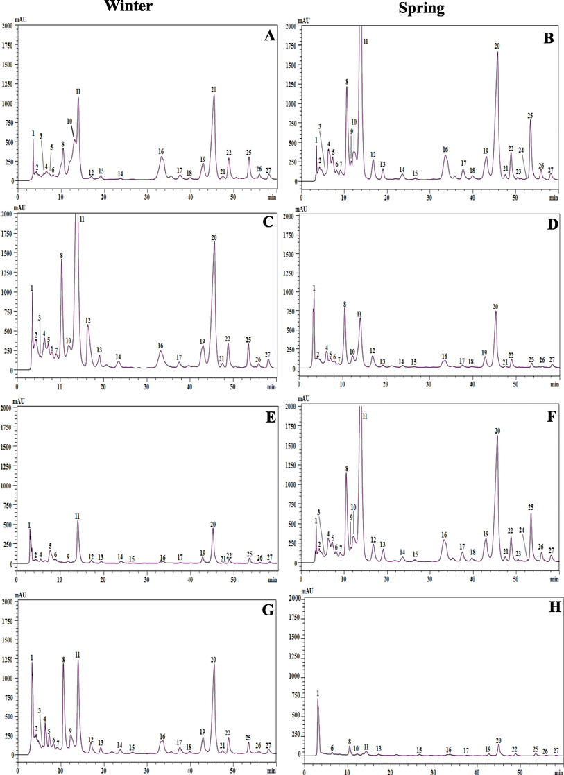 Carotenoids profiles of different extracts obtained by HPLC-PDA analysis. A; winter dichloromethane extract, B; spring dichloromethane extract, C; winter chloroformic extract, D; spring chloroformic extract, E; winter ethyl acetate extract, F; spring ethyl acetate extract, G; winter ethanolic extract, H; spring ethanolic extract of C. althaeoides L. leaves.