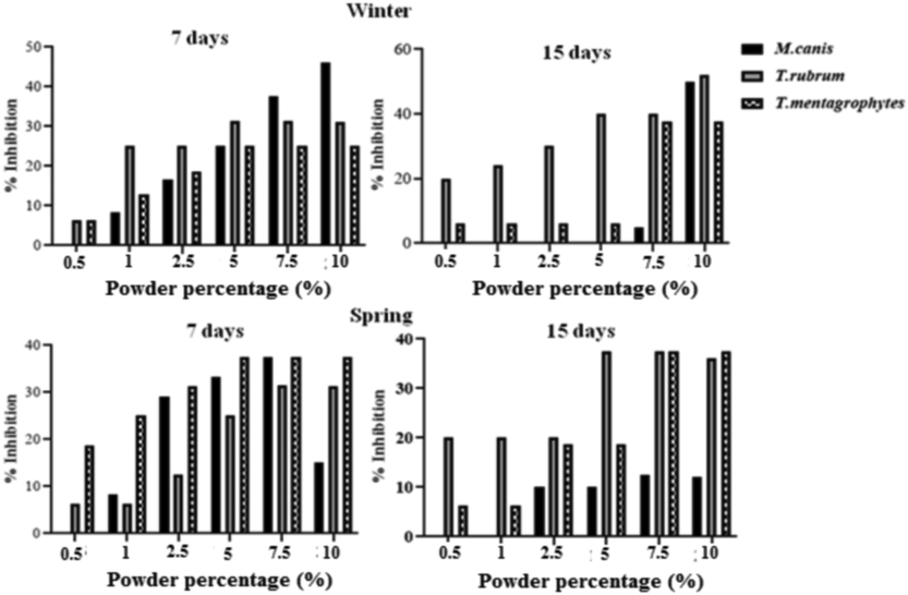 Anti-dermatophytes activitiy of leaf powders of C. althaeoides L., harvested in winter and spring seasons. Signification difference, one-way ANOVA, p < 0.05.