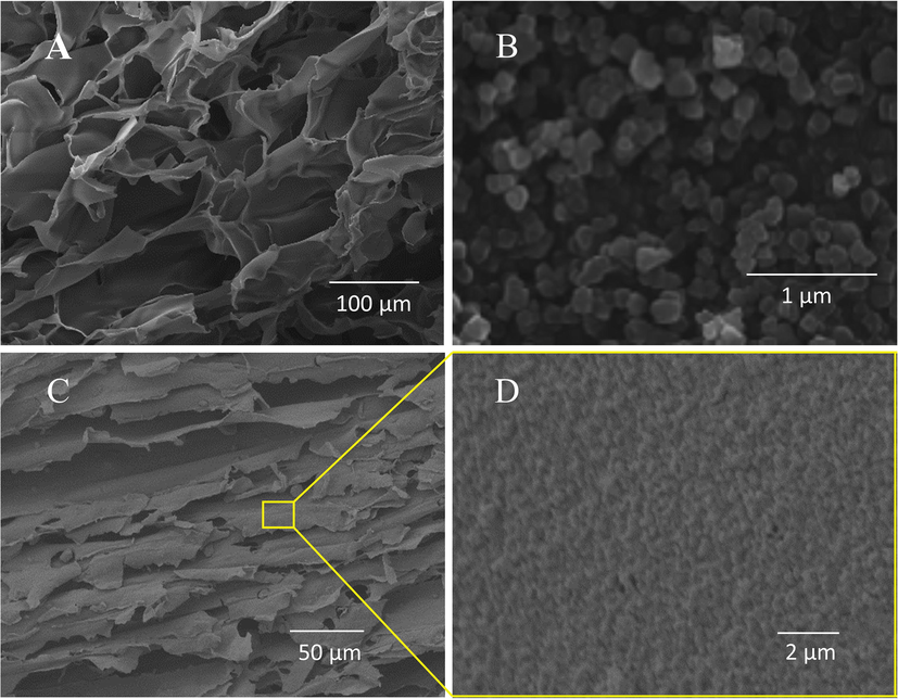 SEM images:(A) Chitosan-M, (B) UiO-66 nanoparticles, (C)&(D) Chitosan/UiO-66–1.