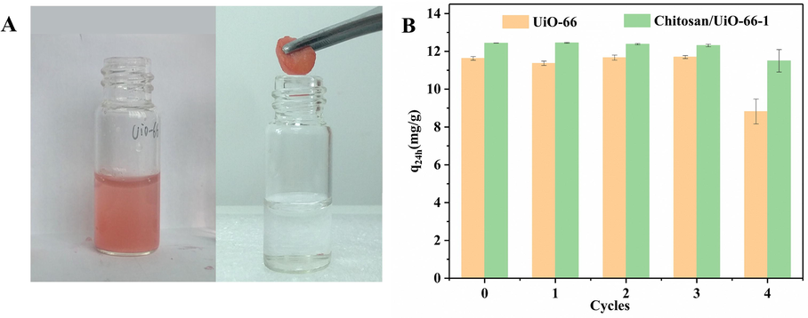 (A) Digital picture of UiO-66 (left) and Chitosan/UiO-66–1(right) during recycling, and the latter can be taken out by a simple picking-up; (B) reusability of UiO-66 and Chitosan/UiO-66–1 for the adsorptive removal of CR from 5 mL of 50 mg/L CR aqueous solution.