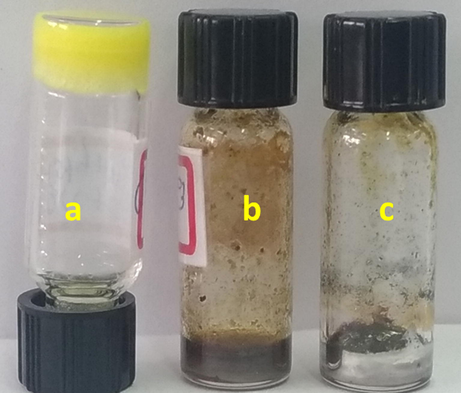 Digital images of gels obtained from (a) BCC-SS gel; (b) BCC-ED + AgNO3 and (c) SS-DMF-AgNO3.