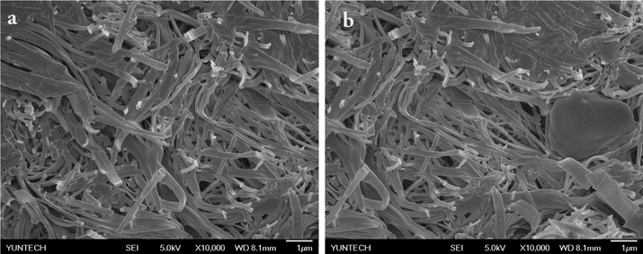 SEM images of silver stearate.