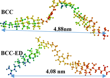 The simulated molecular models of BCC and BCC-ED.