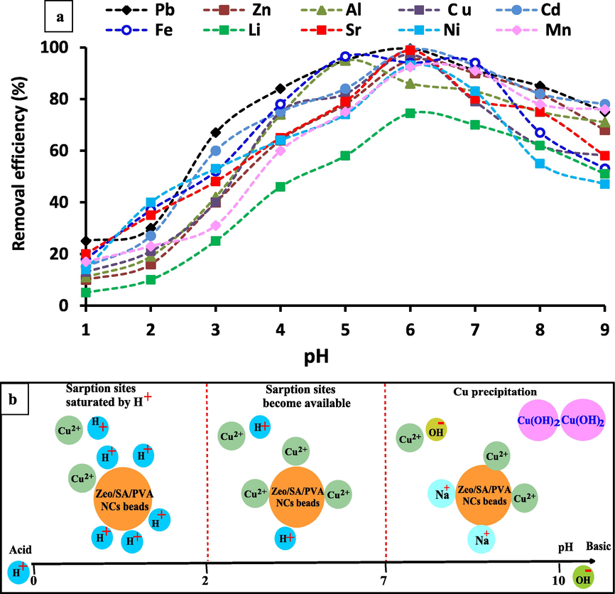 a) Effect of pH on adsorption of Al3+, Li2+, Fe3+, Ni2+, Sr2+, Cd2+, Cu2+, Zn2+, Mn2+and Pb2+, metal ions concentration 25 mg/L, Temp. = 25 °C, pH = 3–8, contacting time 24 h, adsorbent dose is 20 g/L; b) Effect of pH on the adsorption of heavy metals (ex.: Cu2+) onto Zeo/PVA/SA NCs beads at lower pH, the adsorption sites are saturated by H+, and the adsorption of Cu2+ ions is low, when the pH increases, the sorption sites become available, and the adsorption of Cu2+ ions increases. At higher pH, the Cu2+ precipitated and Na+ competes with the residual Cu2+.