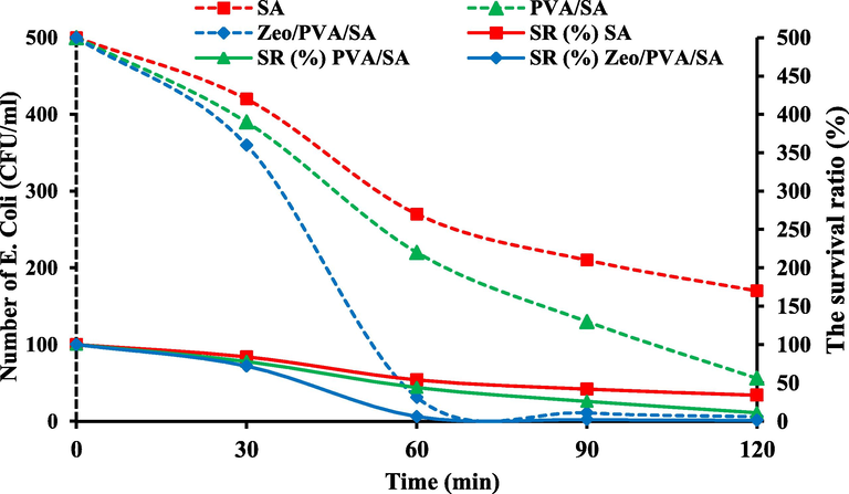 The cell number and survival ratio curve of E. coli in SA, PVA/SA and Zeo/PVA/SA NC modified beads.