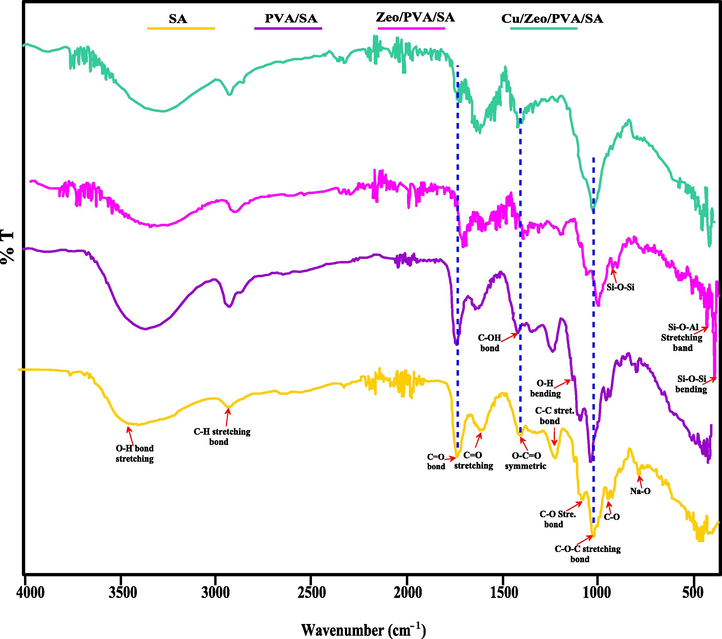 FTIR spectra of SA, PVA/SA, Zeo/PVA/SA and after Cu2+ ions adsorption Cu/Zeo/PVA/SA NC modified beads.