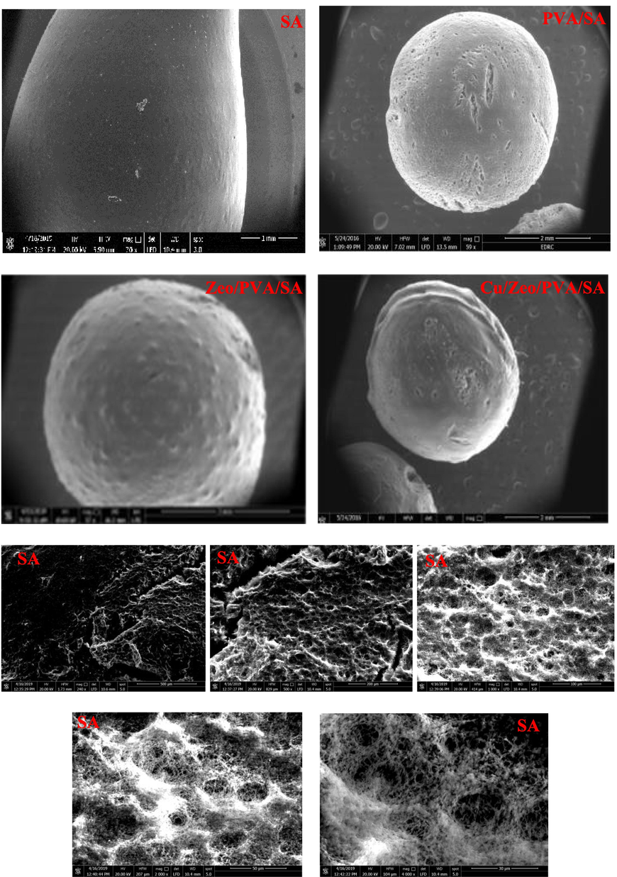 SEM images at different magnifications for the surfaces and cross section of SA, PVA/SA, Zeo/PVA/SA and after Cu2+ ions adsorption Cu/Zeo/PVA/SA NC modified beads and the photograph images of PVA/SA, Zeo/PVA/SA and after Cu2+ ions adsorption Cu/Zeo/PVA/SA NC modified beads.