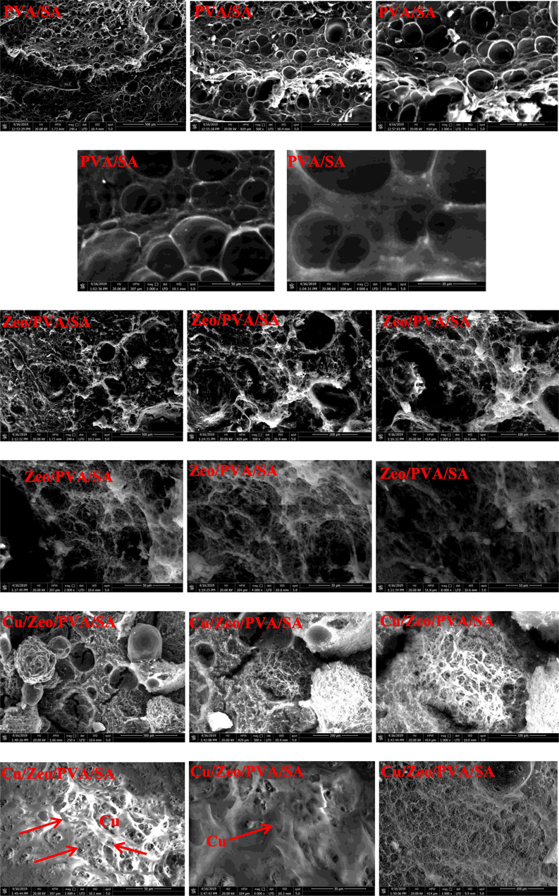 SEM images at different magnifications for the surfaces and cross section of SA, PVA/SA, Zeo/PVA/SA and after Cu2+ ions adsorption Cu/Zeo/PVA/SA NC modified beads and the photograph images of PVA/SA, Zeo/PVA/SA and after Cu2+ ions adsorption Cu/Zeo/PVA/SA NC modified beads.