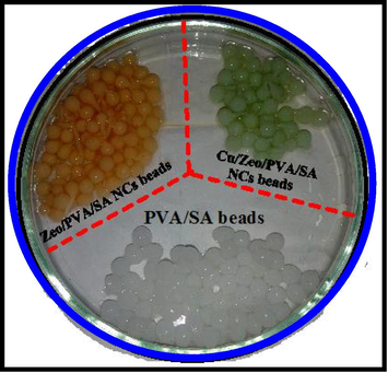 SEM images at different magnifications for the surfaces and cross section of SA, PVA/SA, Zeo/PVA/SA and after Cu2+ ions adsorption Cu/Zeo/PVA/SA NC modified beads and the photograph images of PVA/SA, Zeo/PVA/SA and after Cu2+ ions adsorption Cu/Zeo/PVA/SA NC modified beads.