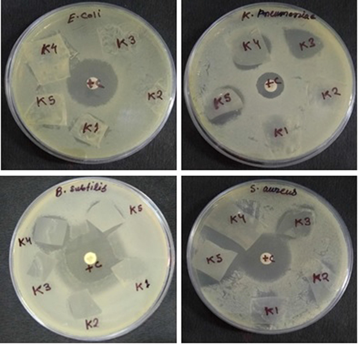 Plates showing zone of inhibition (ZOI) around polymer nanocomposite films (K1-K5) against Gram-positive Bacillus subtilis MTCC 736, Staphylococcus aureus MTCC 902 and Gram-negative Escherichia coli ATCC 25922, Klebsiella pneumoniae ATCC 700603.