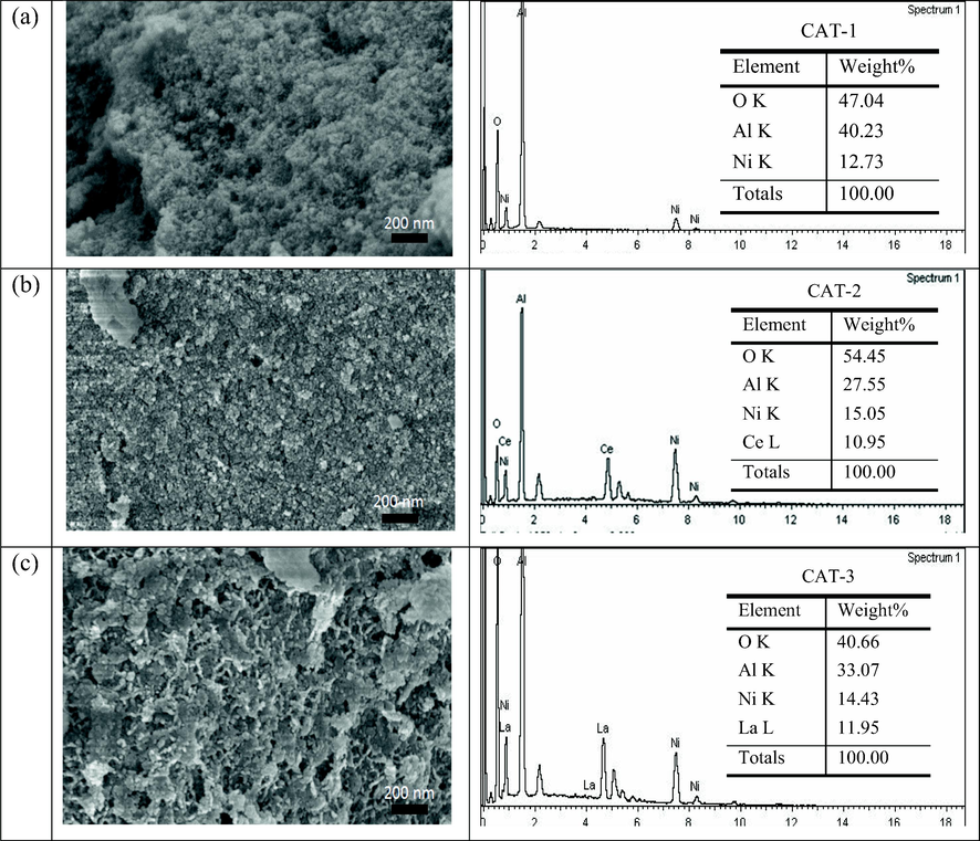 FESEM images and EDX graphs of pre reaction catalyst at 50.0 K× magnification.