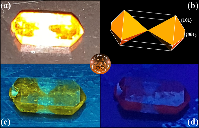 (a) Photograph of SSY stained KDP crystal clicked in day light. (b) Indexed morphological drawing of selective colouring in pyramidal ( { 001 } & {1 0 1}) sectors of host KDP crystal. Fluorescence from the same SSY doped KDP crystal under (c) long UV, and (d) short UV illumination.