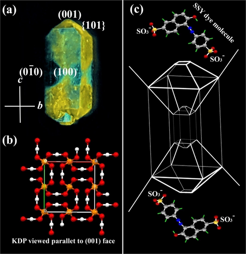 (a) KDP crystal containing luminescent SSY dye in the ( { 001 } & {1 0 1}) growth sectors.(b) Molecular packing diagram of KDP crystal when viewed along ab plane. (c) The habit of KDP crystal bounded by SSY dye molecule that stains the pyramidal ( { 001 } & {1 0 1}) growth sectors. Conformations of guest dye molecules in pyramidal sectors using ball- & stick diagrams.