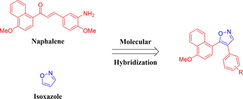 Rationale design of the title compounds of this study.