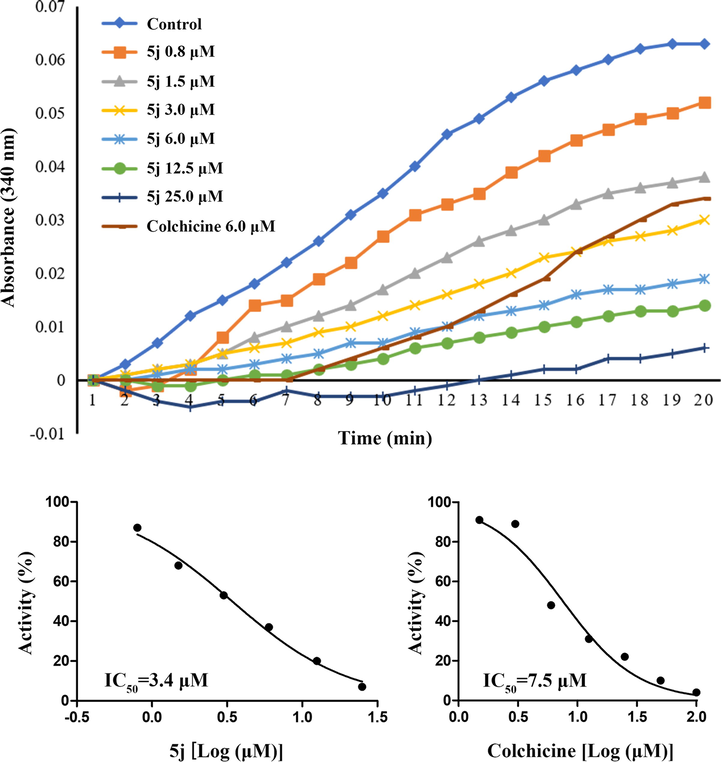 Effect of compound 5j and colchicine on tubulin polymerization.