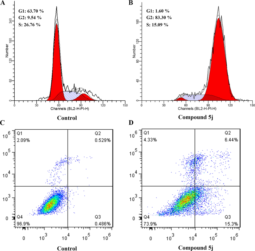 Compound 5j induced the cell cycle arrest and cell apoptosis in MCF-7 cells. (A, B) Cell cycle analysis of MCF-7 cells with or without treatment of 5j for 24 h; (C, D) Cell apoptosis induction of MCF-7 cells with or without treatment of 5j for 24 h.