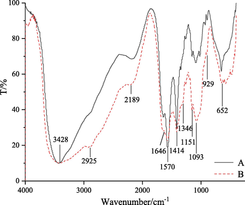 FT-IR spectra of original (A) and degraded chitosan (B).