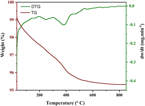 TG/DTG curves of Ni-Zn ferrite synthesis product obtained in the standard heating reactor from the pilot plant (FNZ).