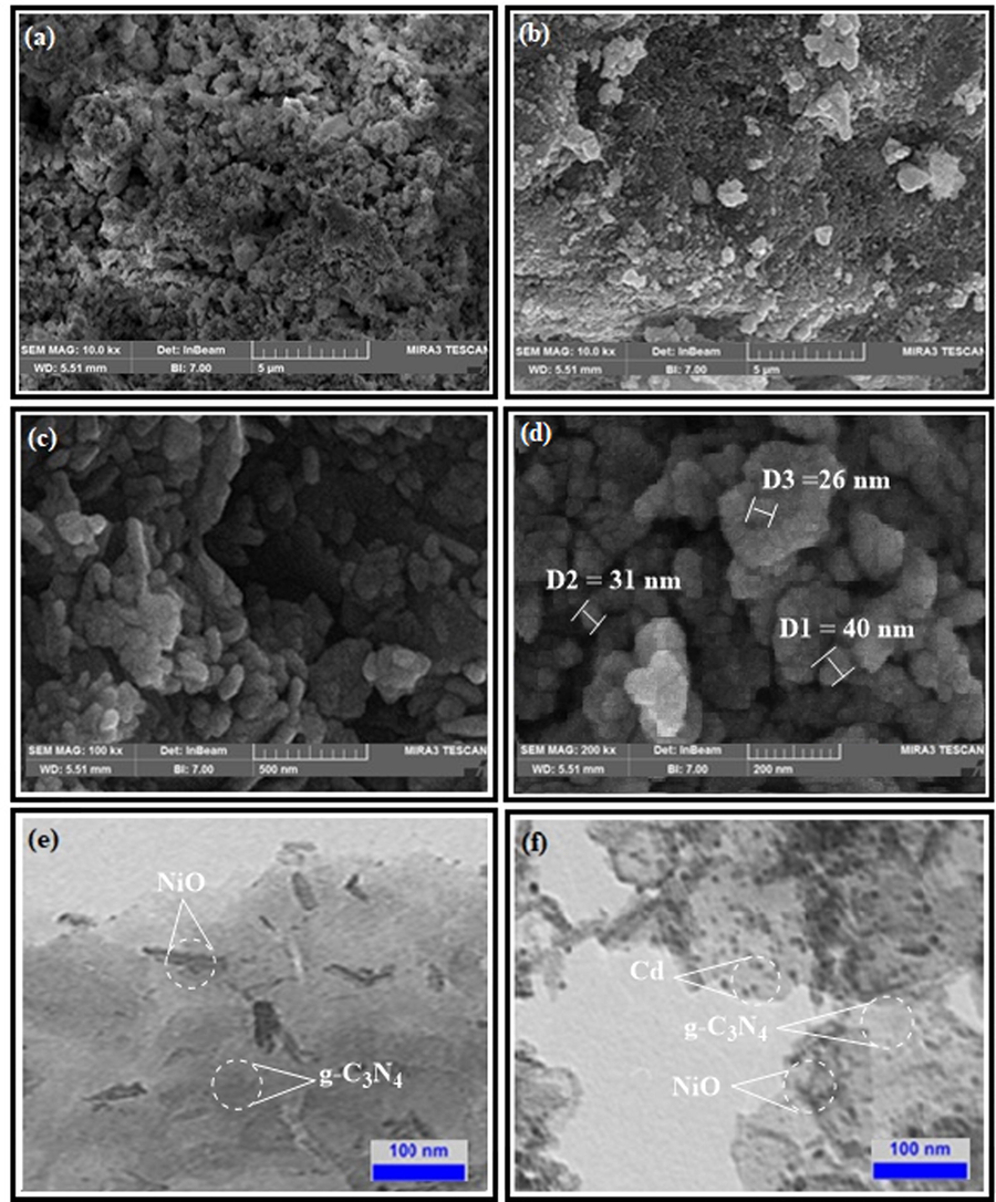 The SEM images of the (a) g-C3N4, (b) NiO/g-C3N4, (c) and (d) NiO/Cd/g-C3N4 (0.1%) nanocomposites. The TEM images of the (e) NiO/g-C3N4, and (f) NiO/Cd/g-C3N4 (0.1%) nanocomposites.