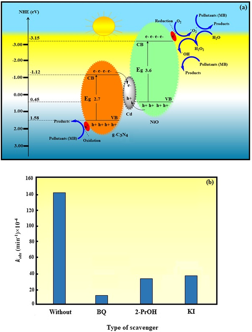 (a) The schematic illustration for the possible mechanism of MB degradation over the NiO/Cd/g-C3N4 (0.1%) nanocomposite. (b) The degradation kinetic constant of MB over the NiO/Cd/g-C3N4 (0.1%) nanocomposite in the presence of different scavengers.