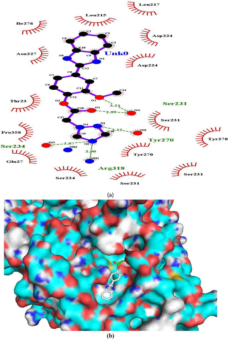 Ligand interaction diagram of compound 4 in β-tubulin (a) 2D and (b) 3D view.