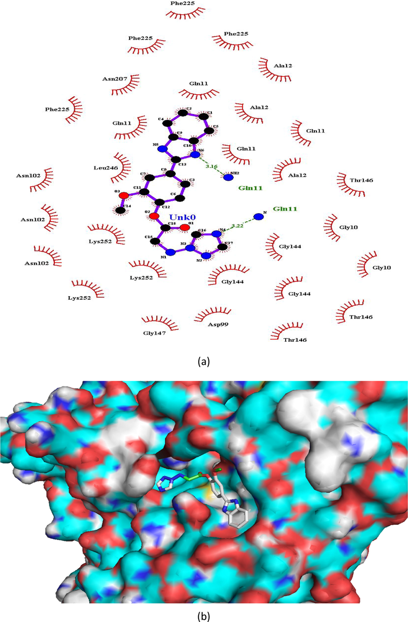 (a and b). Ligand interaction diagram of compound 8 in β-tubulin (a) 2D and (b) 3D view.