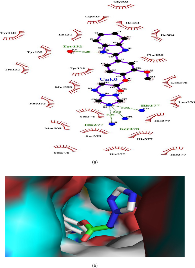 (a and b). Ligand interaction diagram of compound 8 in in lanosterol 14α-demethylase (a) 2D and (b) 3D view.