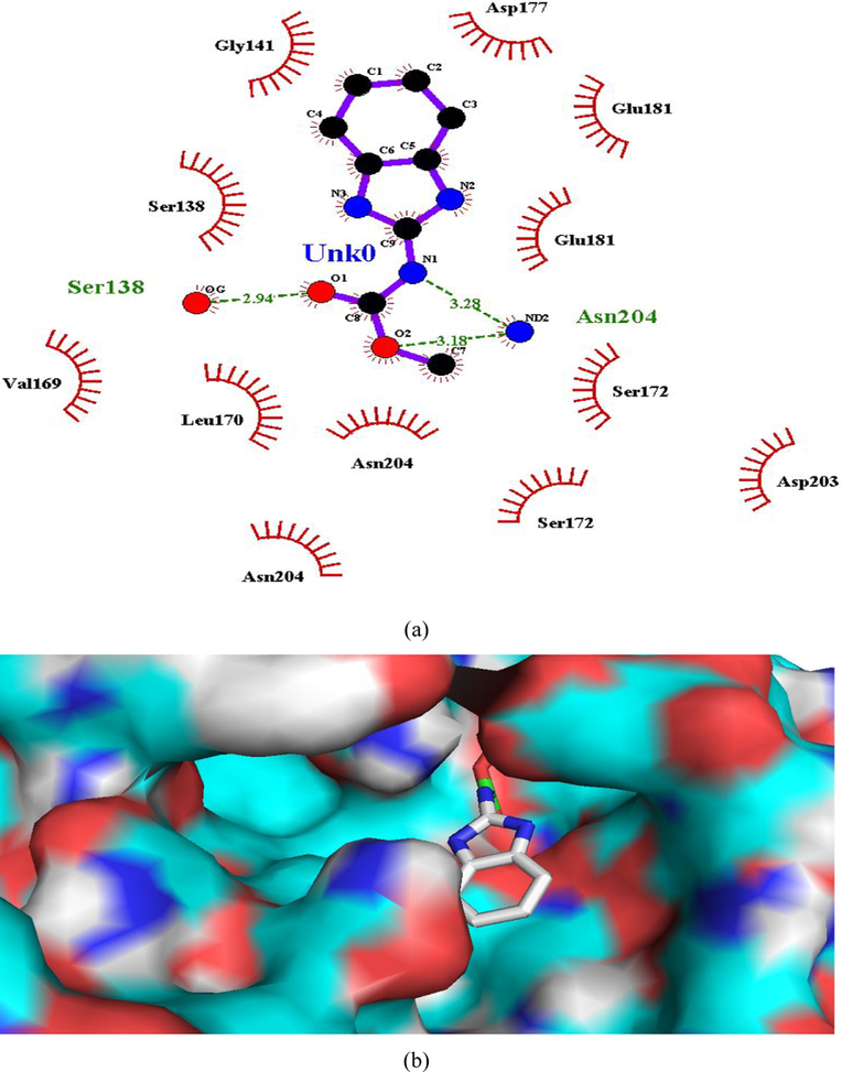 (a and b). Ligand interaction diagram of carbendazim in β-tubulin (a) 2D and (b) 3D view.