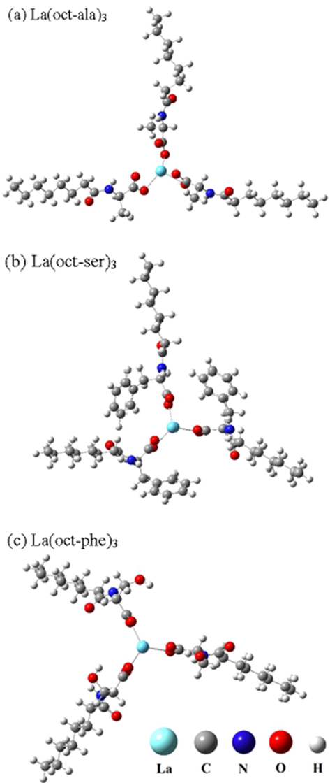 (a) La(oct-ala)3, (b) La(oct-ser)3, (c) La(oct-phe)3 complex.