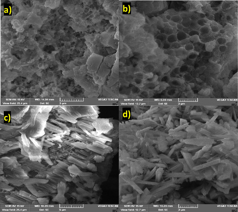 SEM images of (a-b) USC precipitate and (c-d) C-HAp sample.