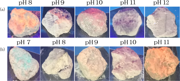 Photographs of concretes with different pH values after been dipped in probes 1a (a) and 1b (b) solutions irradiated at 365 nm with a hand-held lamp.