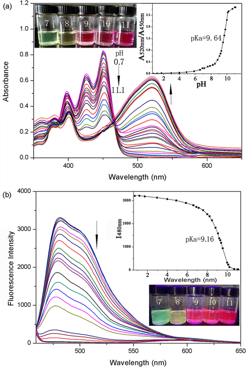 Absorption and fluorescence spectra of 1b (30 μM) in acetonitrile with varied pH. (a) Absorption spectra. The inset shows a pH dependent plot of the absorbance ratios A520nm/A450nm and photograph of the sample. (b) Emission spectra (λex = 466 nm). The inset shows sigmoidal fitting of pH-dependent fluorescence intensity at 480 nm and pH-dependent photograph under UV light (λex = 365 nm).