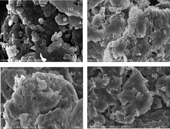 FeSEM images of catalysts.