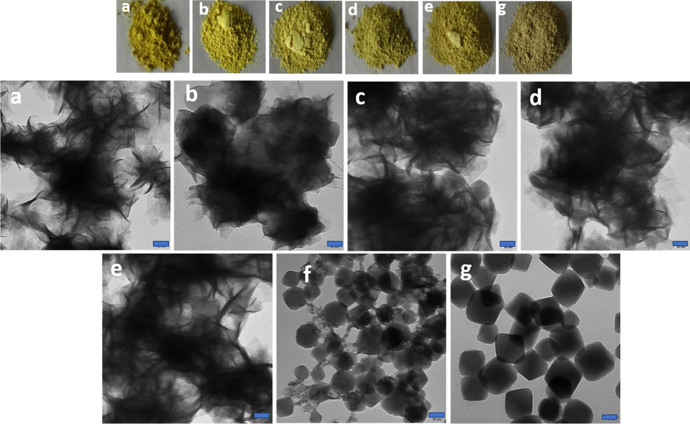 TEM images of (a) ZnIn2S4, (b) 10UiO-66-NH2@ZnIn2S4-NPs (c) 20UiO-66-NH2@ZnIn2S4-NPs (d) 30UiO-66-NH2@ZnIn2S4-NPs (e) 40UiO-66-NH2@ZnIn2S4-NPs (f) 50UiO-66-NH2@ZnIn2S4-NPs and (g) UiO-66-NH2 -NPs. Scale bar for each image is 50 nm.