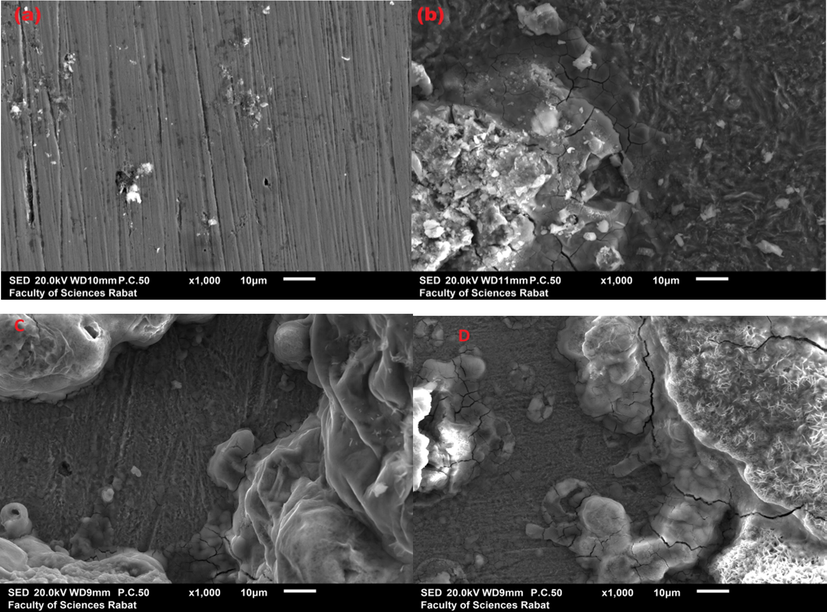 SEM micrographs of mild steel before immersion (a) after 6 h immersion in 1 M of HCl (b) after immersion in 10−3M of DPP inhibitor (C) and of PP inhibitor (D).