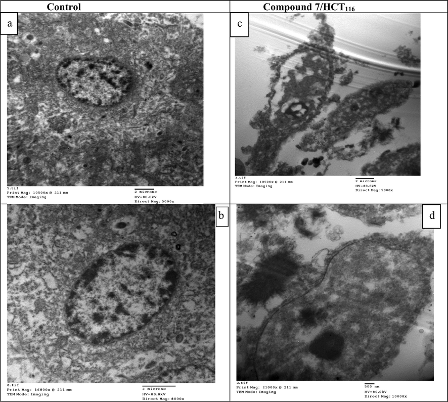 Transmission Electron Microscope (TEM) images of control and compound 7 treated HCT116 cells for 48 hrs of drug incubation. (a and b) Control HCT116 cells showed normal structure patterns with different magnification powers (5000× and 8000×) respectively. (c and d) Compound 7 treated HCT116 cells at different magnification powers (5000× and 1000×) respectively.