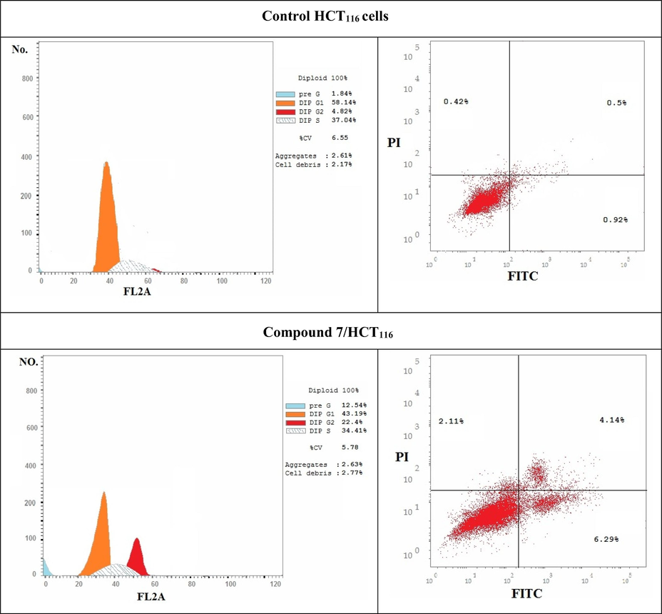 Represent DNA histograms of cell cycle analysis of HCT116 cells after 48 h of treatment with compound 7. The percentage and distribution of cells in each phase of the cell cycles were illustrated.