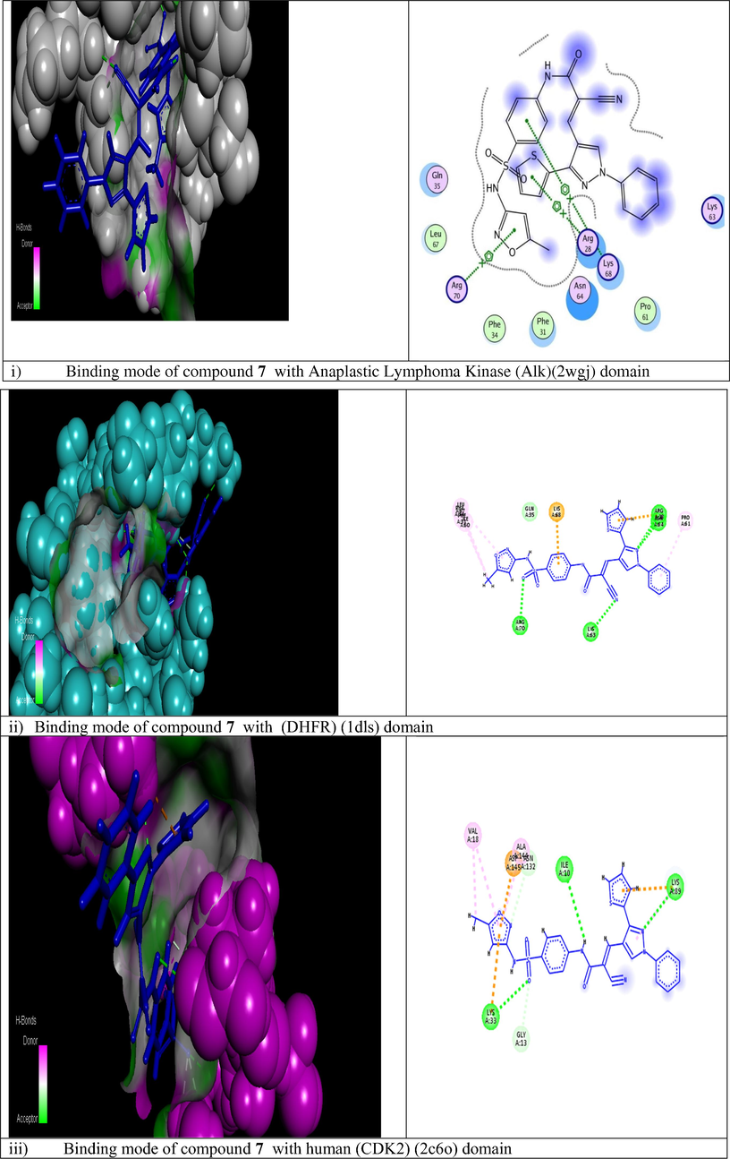 Modeling representations in 3D and 2D dimensional modes of compound 7 with the following active domains (2wgj, 1dls, 2c6o, 3eyl, 4kmp, 2w3l, 5lab, and 4wt2) respectively.