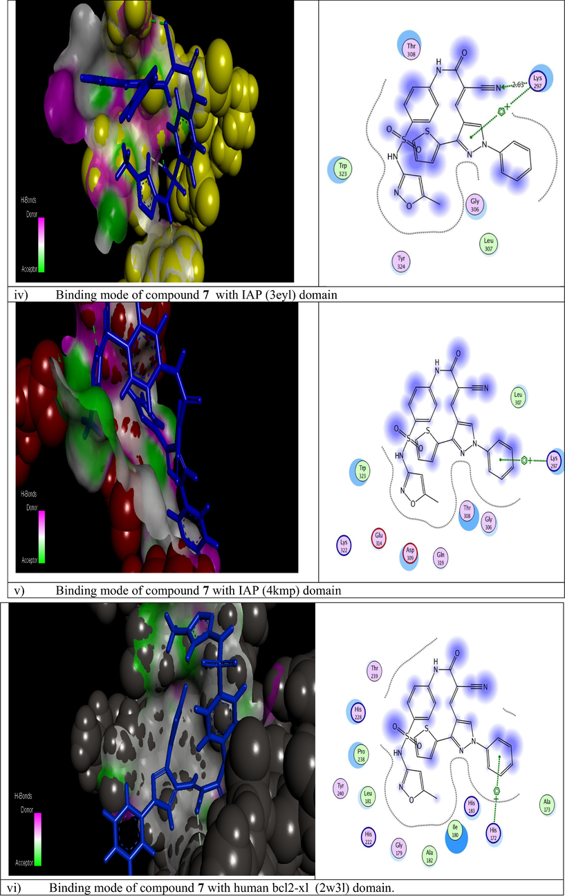 Modeling representations in 3D and 2D dimensional modes of compound 7 with the following active domains (2wgj, 1dls, 2c6o, 3eyl, 4kmp, 2w3l, 5lab, and 4wt2) respectively.