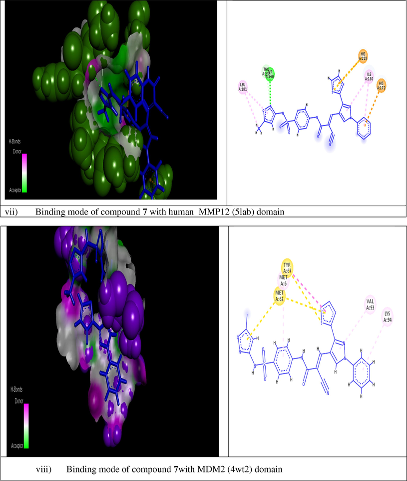 Modeling representations in 3D and 2D dimensional modes of compound 7 with the following active domains (2wgj, 1dls, 2c6o, 3eyl, 4kmp, 2w3l, 5lab, and 4wt2) respectively.