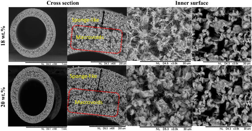 SEM images of bentonite hollow fiber (BHF) membrane prepared at different bentonite loadings.