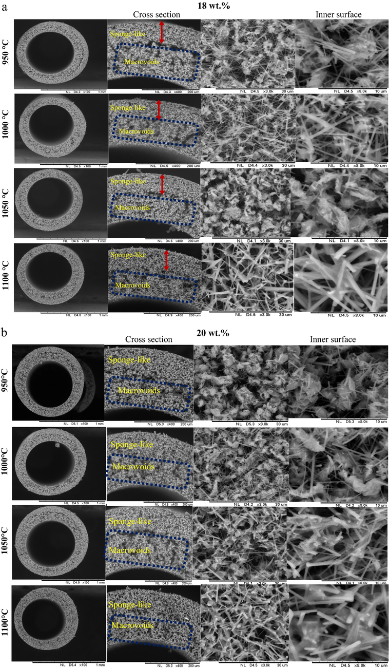 SEM images of bentonite hollow fiber ceramic membrane (BHF) prepared at different sintering temperatures and bentonite loadings (a) 18 wt%, (b) 20 wt%.